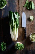 Carica l'immagine nel visualizzatore di Gallery, Coltello Fr. DICK Serie 1905 Santoku, Lunghezza 18 cm