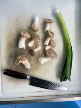 Carica l'immagine nel visualizzatore di Gallery, Coltello KAI Shun Premier Tim Mälzer TDM-1706, da Chef, Lama 20 cm