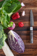 Carica l'immagine nel visualizzatore di Gallery, Coltello Petty Satake AME 12 cm