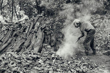 Carica l'immagine nel visualizzatore di Gallery, Carbone di Leccio calabrese, 4,5 Kg, naturale & 100% Italiano